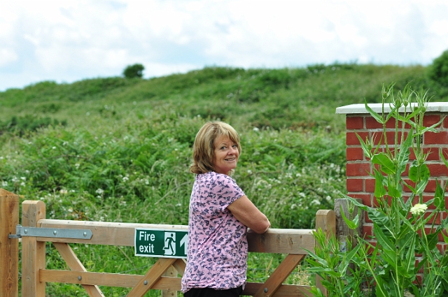 23 06 15_5270.JPG - HENGISTBURY HEAD VISITNG CENTRE, EAST DORSET - 23.6.15
